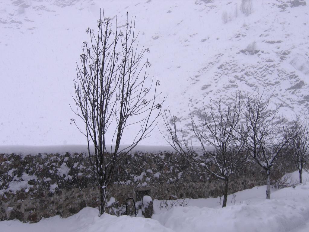 Red Stone Guest House Kazbegi Exteriör bild