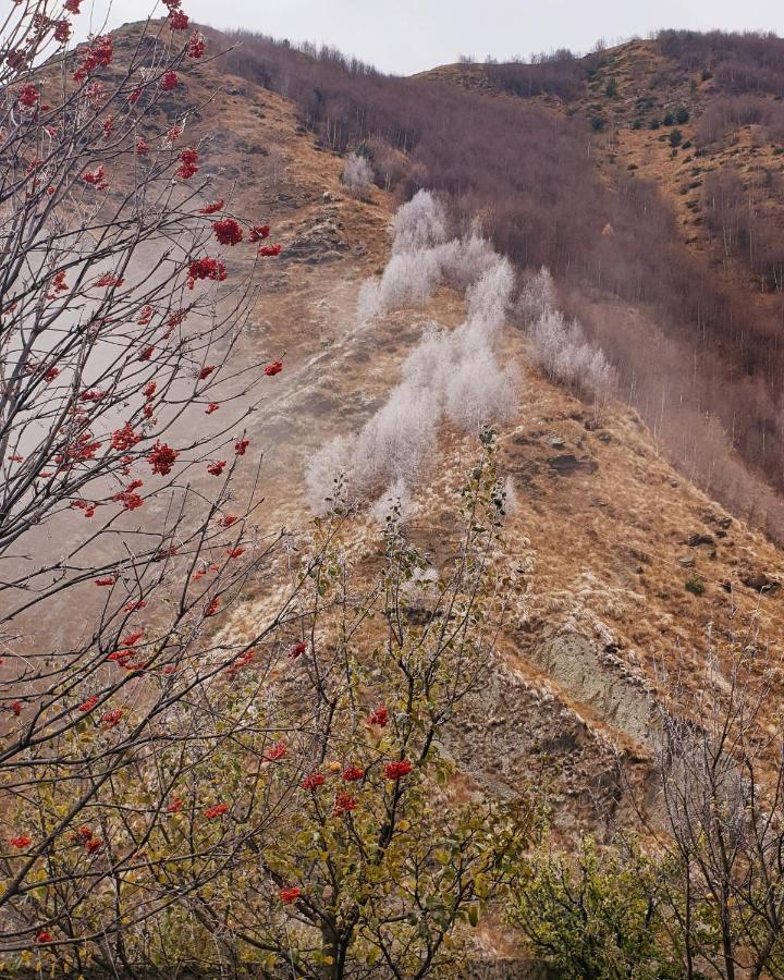 Red Stone Guest House Kazbegi Exteriör bild